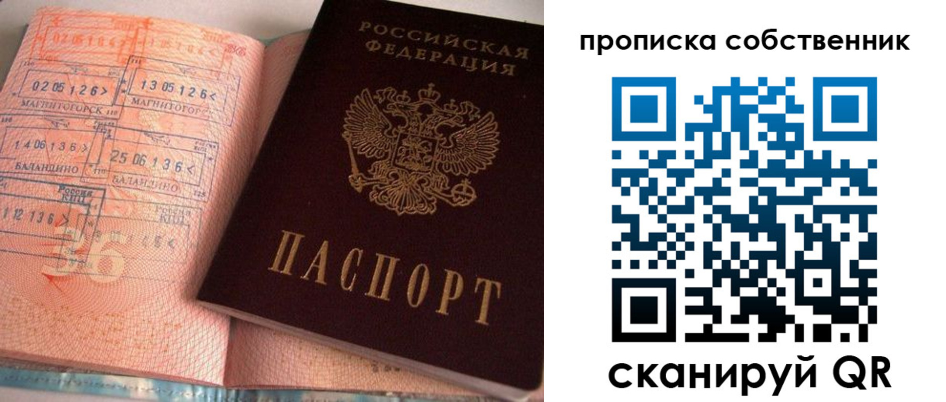 прописка в Покрове
